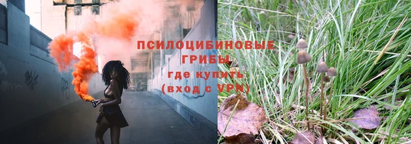 ГАЛЛЮЦИНОГЕННЫЕ ГРИБЫ Балахна