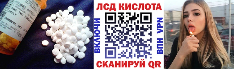 ЛСД экстази ecstasy  дарнет шоп  Шенкурск 